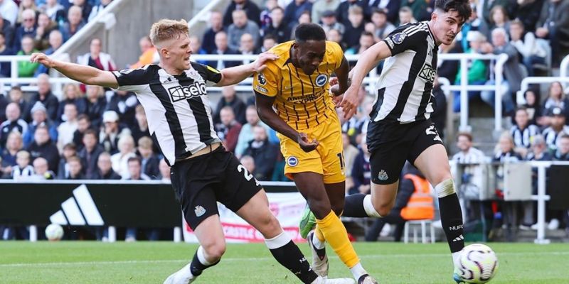 Phong độ gần đây của Newcastle vs Brighton