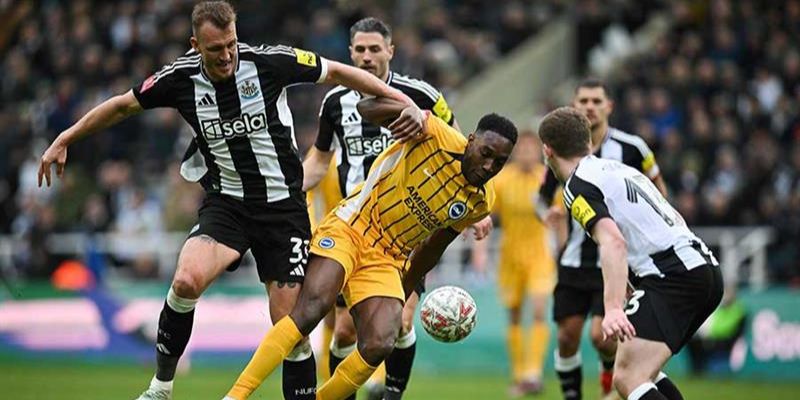 Soi kèo Newcastle vs Brighton chi tiết