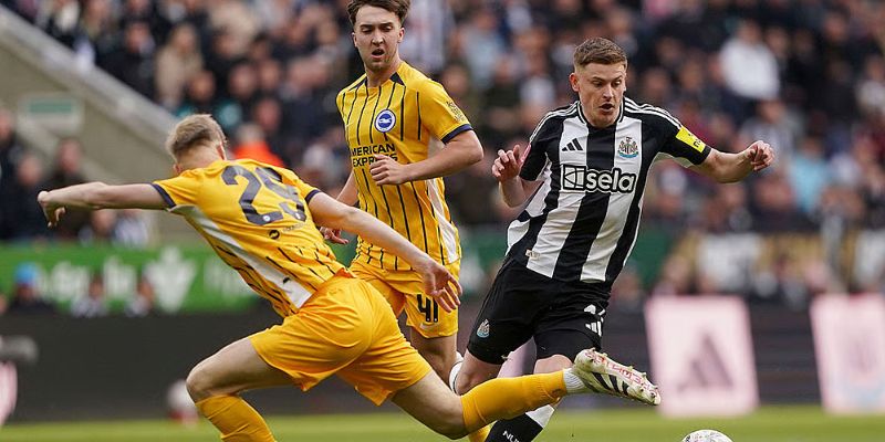 Thành tích đối đầu giữa Newcastle vs Brighton